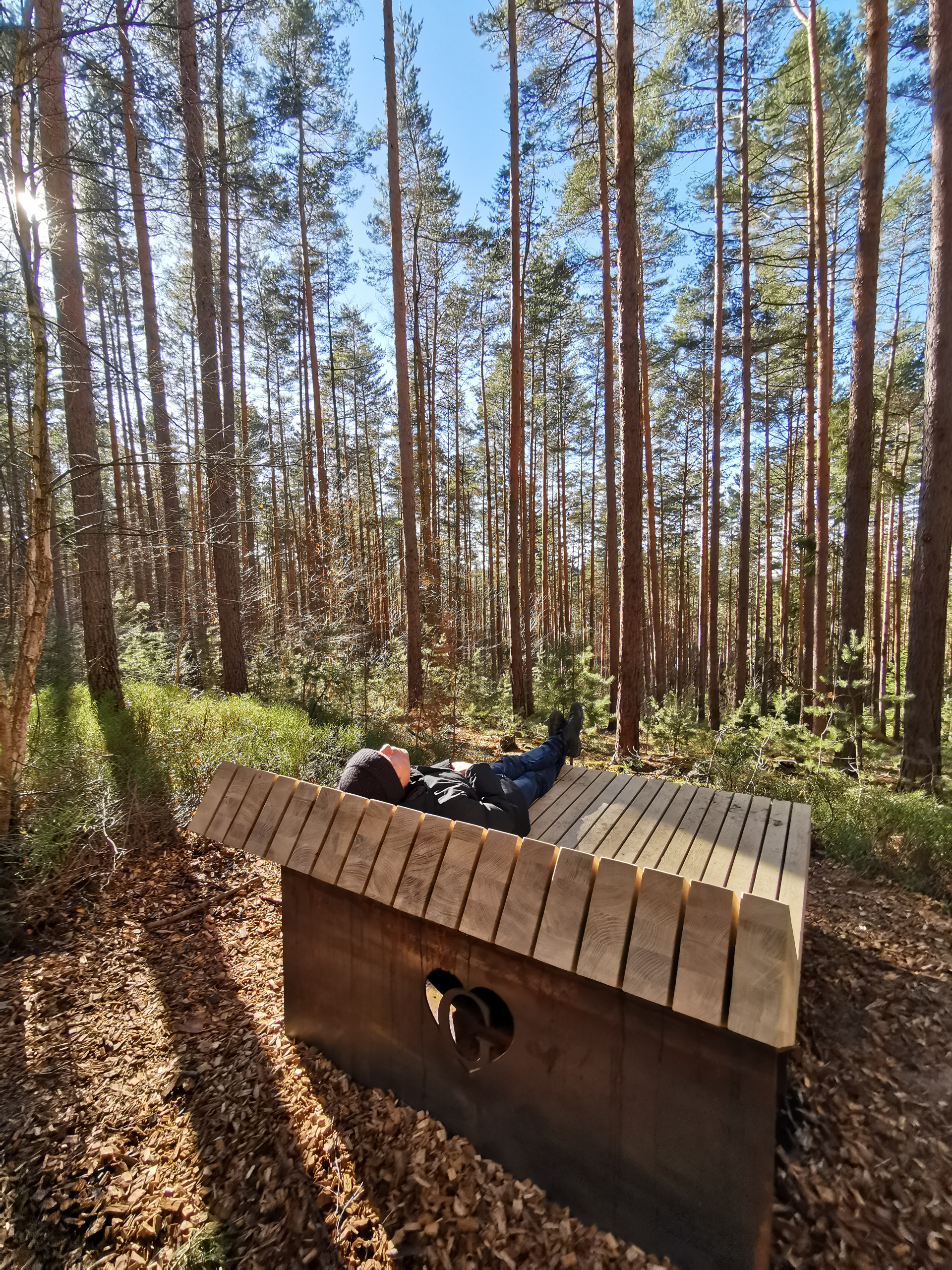 Mann liegt auf einer Holzbank und schaut in den Wald am Goethe-Erlebnisweg